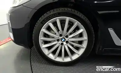 BMW 5-Series 2023 2.0 гидро, миниатюра 4