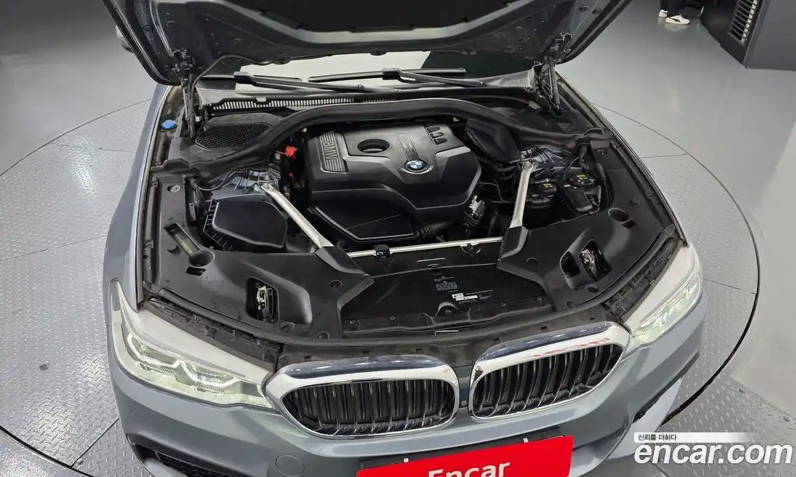 BMW 5-Series 2018 2.0 гидро, фото 6