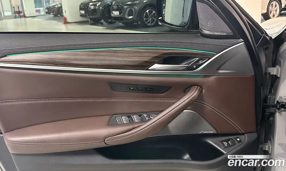 BMW 5-Series 2021 2.0 гидро, фото 12