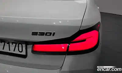 BMW 5-Series 2022 2.0 гидро, миниатюра 8