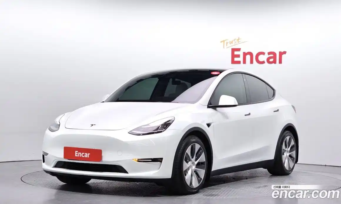 Tesla Model Y 2021 0.2 гидро, фото 1