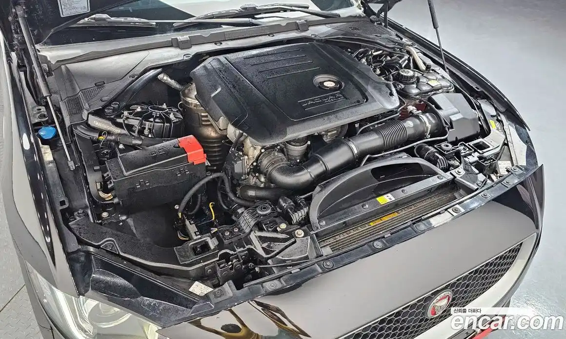Jaguar XE 2015 2.0 гидро, фото 6