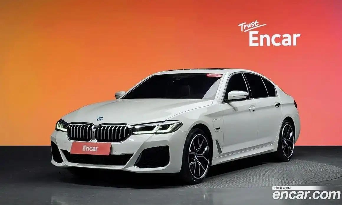 BMW 5-Series 2022 2.0 гидро, фото 32