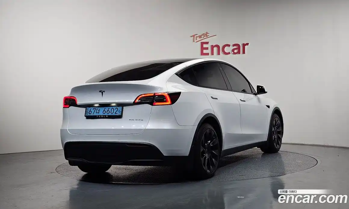 Tesla Model Y 2021 0.2 гидро, фото 1