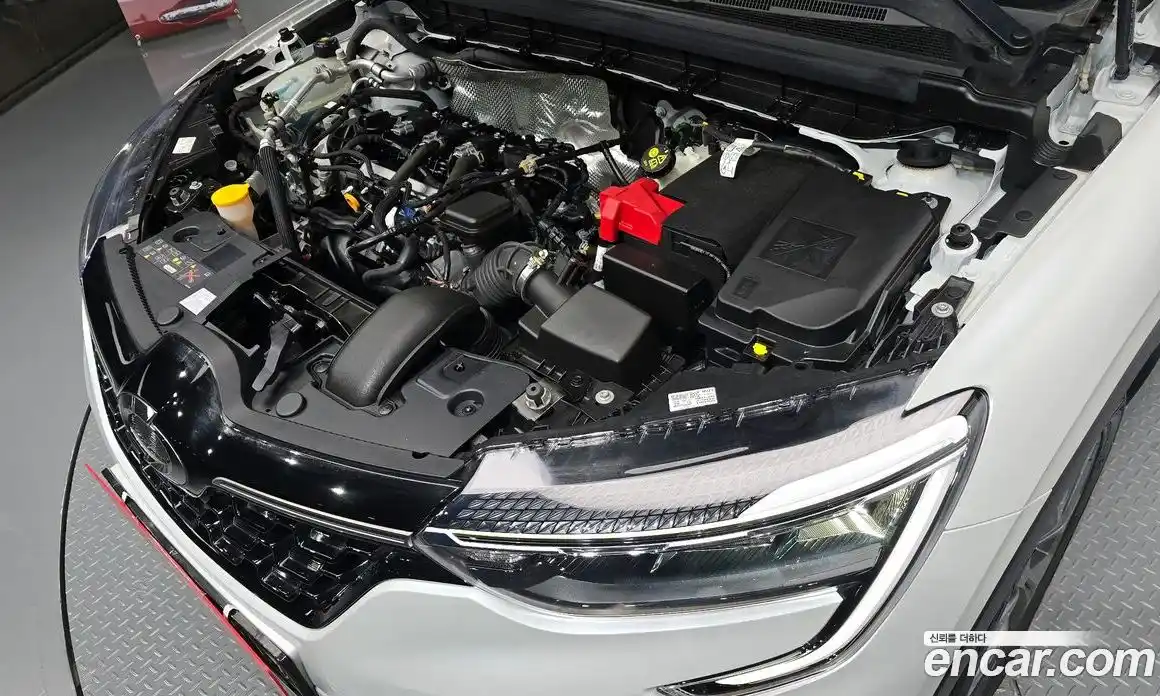 Renault XM3 2024 1.6 гидро, фото 6
