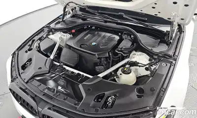 BMW 5-Series 2018 2.0 гидро, миниатюра 5