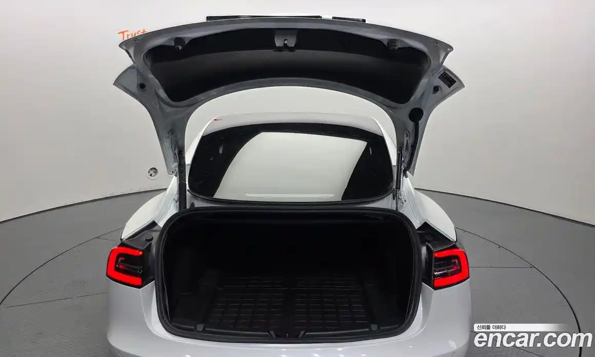 Tesla Model 3 2021 0.2 гидро, фото 20