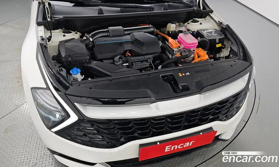 Kia Sportage 2023 1.6 автомат (гидро), фото 5