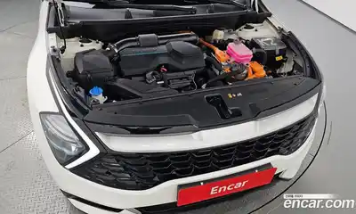 Kia Sportage 2023 1.6 автомат (гидро), миниатюра 5