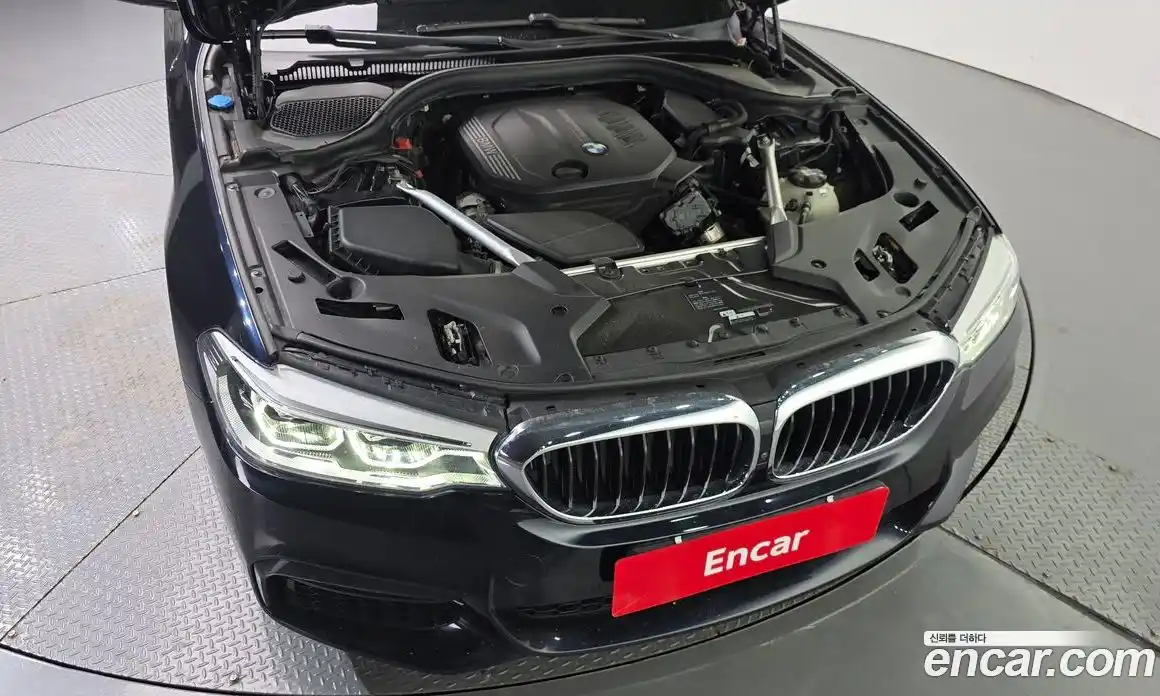 BMW 5-Series 2019 2.0 гидро, фото 6