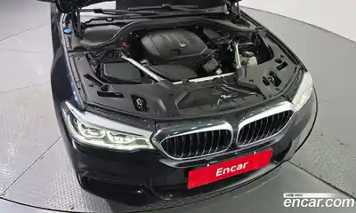BMW 5-Series 2019 2.0 гидро, миниатюра 6