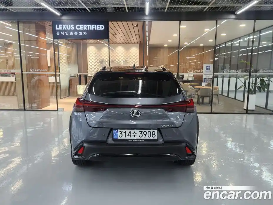 Lexus UX 2025 2.0 вариатор, фото 4