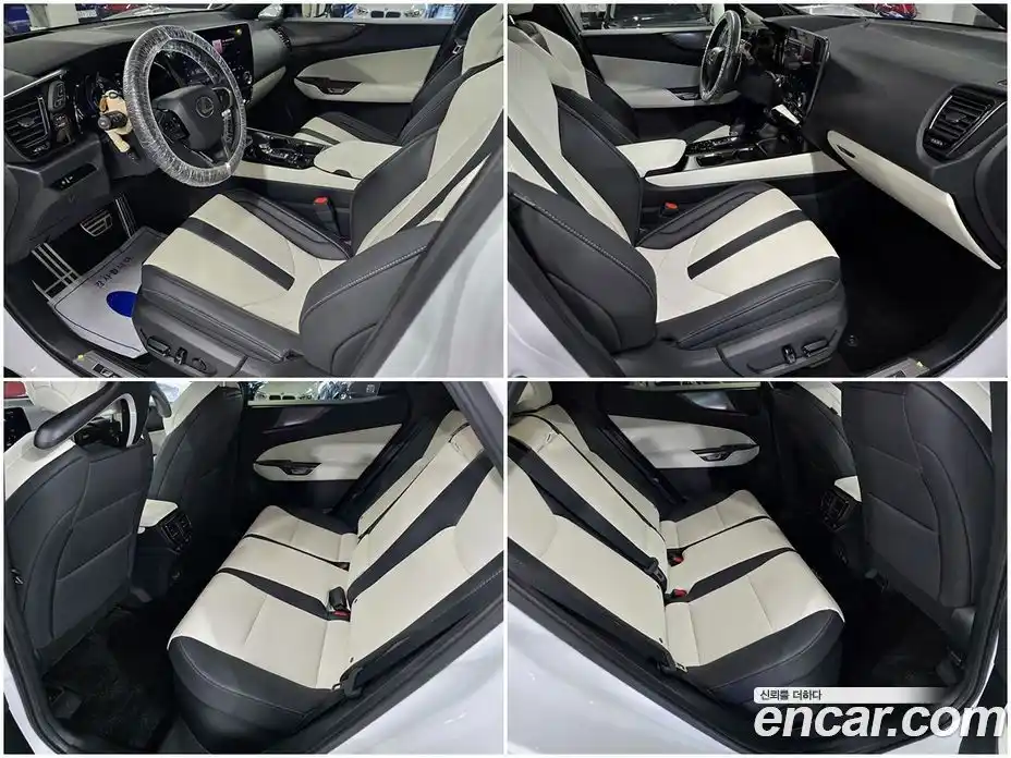 Lexus NX 2023 2.5 гидро, фото 13
