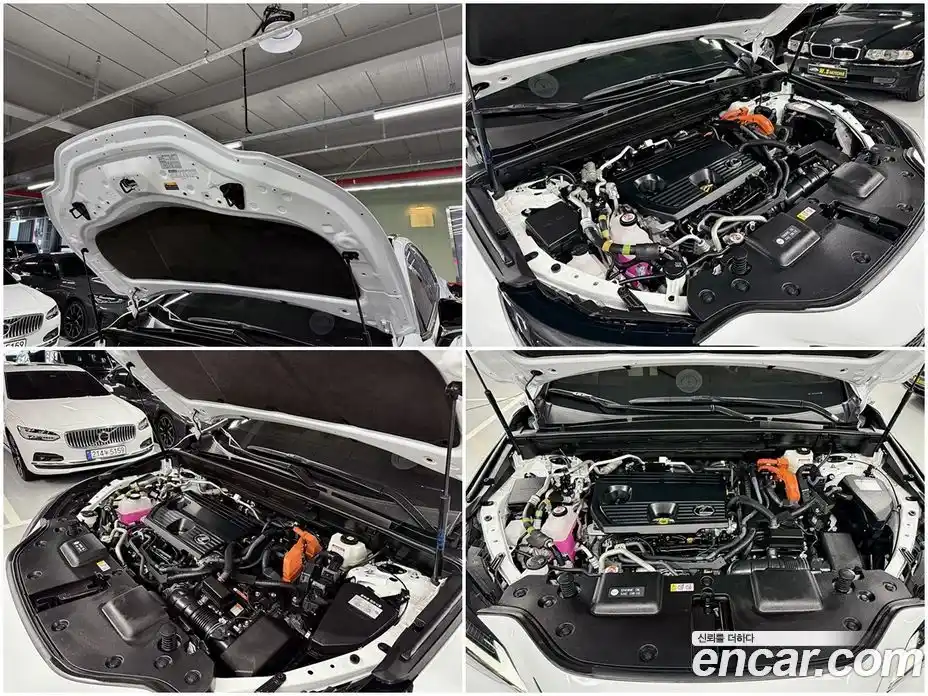 Lexus NX 2023 2.5 гидро, фото 19