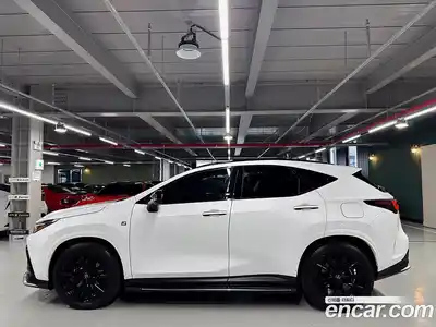 Lexus NX 2023 2.5 гидро, миниатюра 4