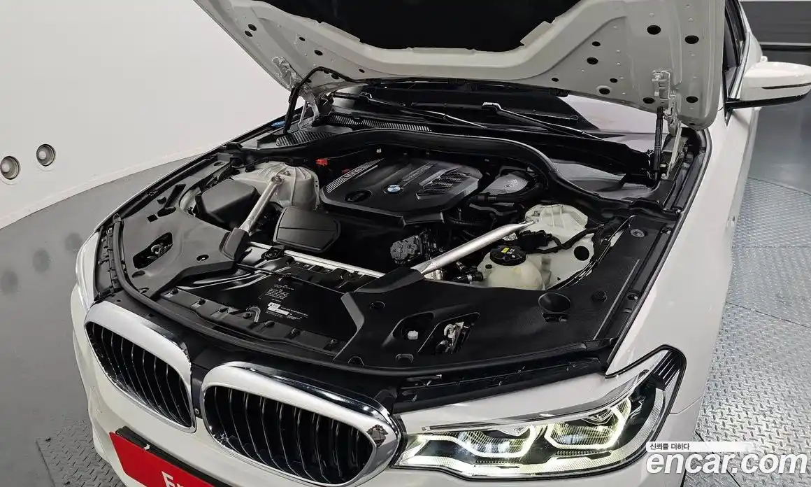 BMW 5-Series 2019 2.0 гидро, фото 6