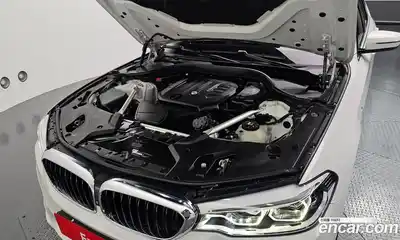 BMW 5-Series 2019 2.0 гидро, миниатюра 6