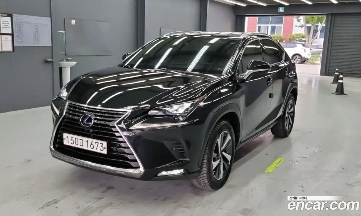 Lexus NX 2021 2.5 гидро, фото 1