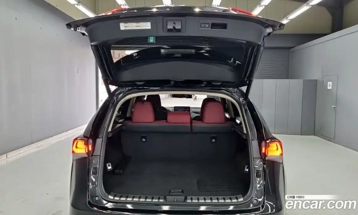 Lexus NX 2021 2.5 гидро, фото 18