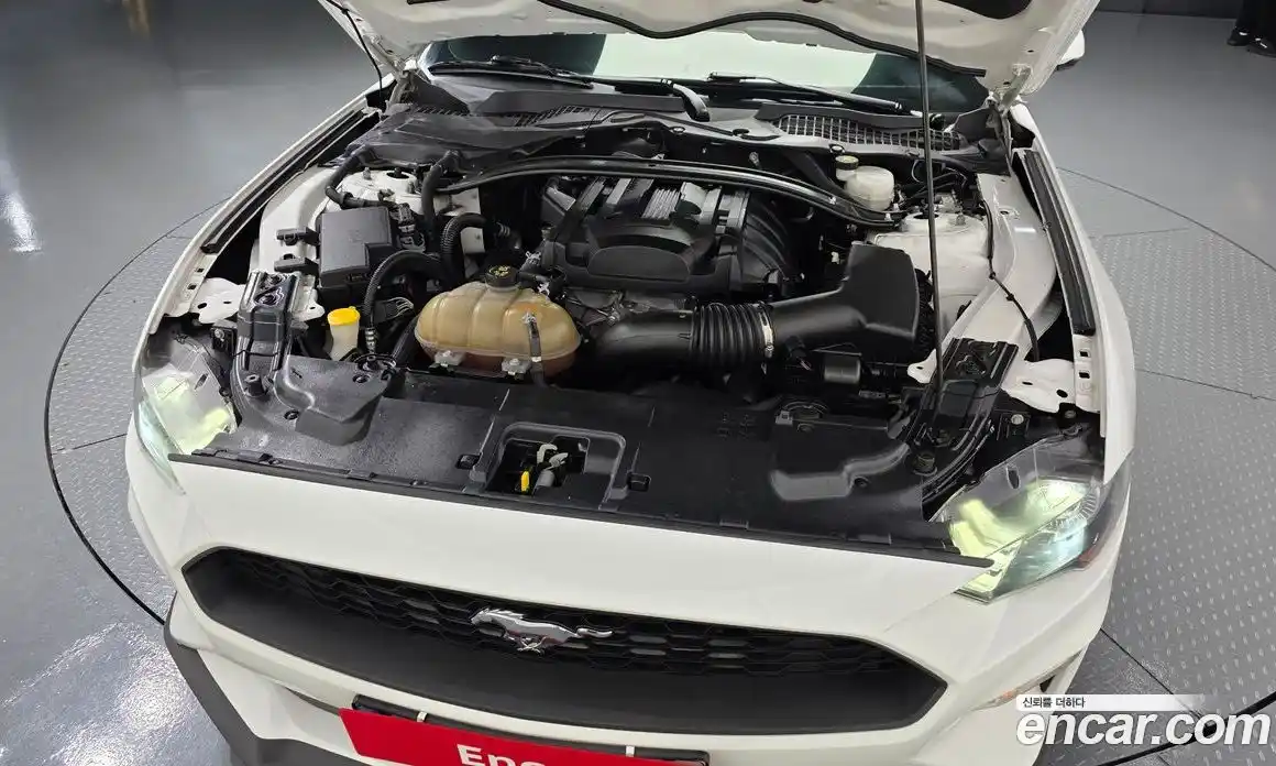 Ford Mustang 2019 2.3 автомат (гидро), фото 6