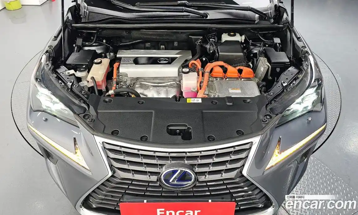 Lexus NX 2017 2.5 гидро, фото 6
