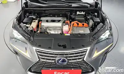 Lexus NX 2017 2.5 гидро, миниатюра 6