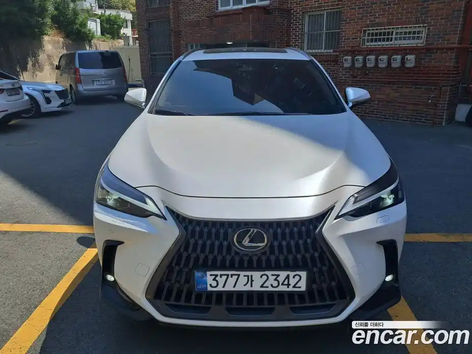 Lexus NX 2025 2.5 вариатор, фото 1