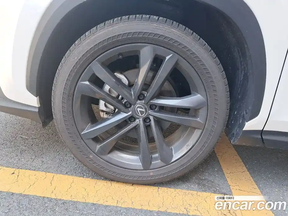 Lexus NX 2025 2.5 вариатор, фото 12