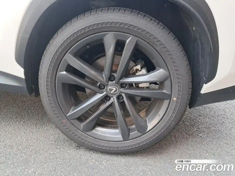 Lexus NX 2025 2.5 вариатор, фото 13