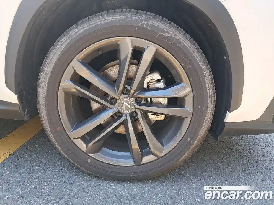 Lexus NX 2025 2.5 вариатор, фото 15