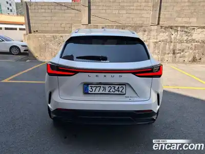 Lexus NX 2025 2.5 вариатор, миниатюра 2