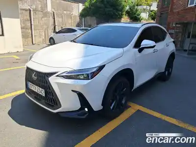 Lexus NX 2025 2.5 вариатор, миниатюра 4