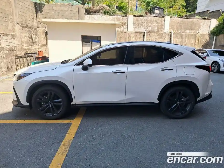 Lexus NX 2025 2.5 вариатор, фото 5
