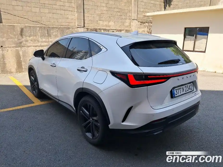 Lexus NX 2025 2.5 вариатор, фото 6