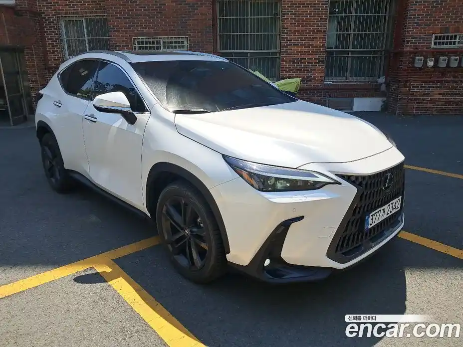 Lexus NX 2025 2.5 вариатор, фото 9