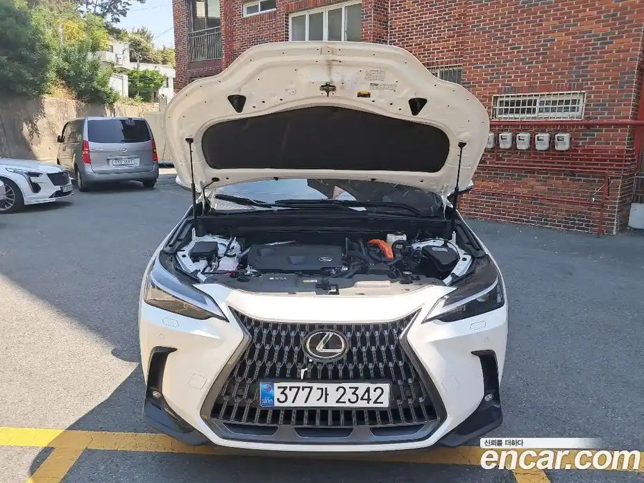 Lexus NX 2025 2.5 вариатор, фото 10