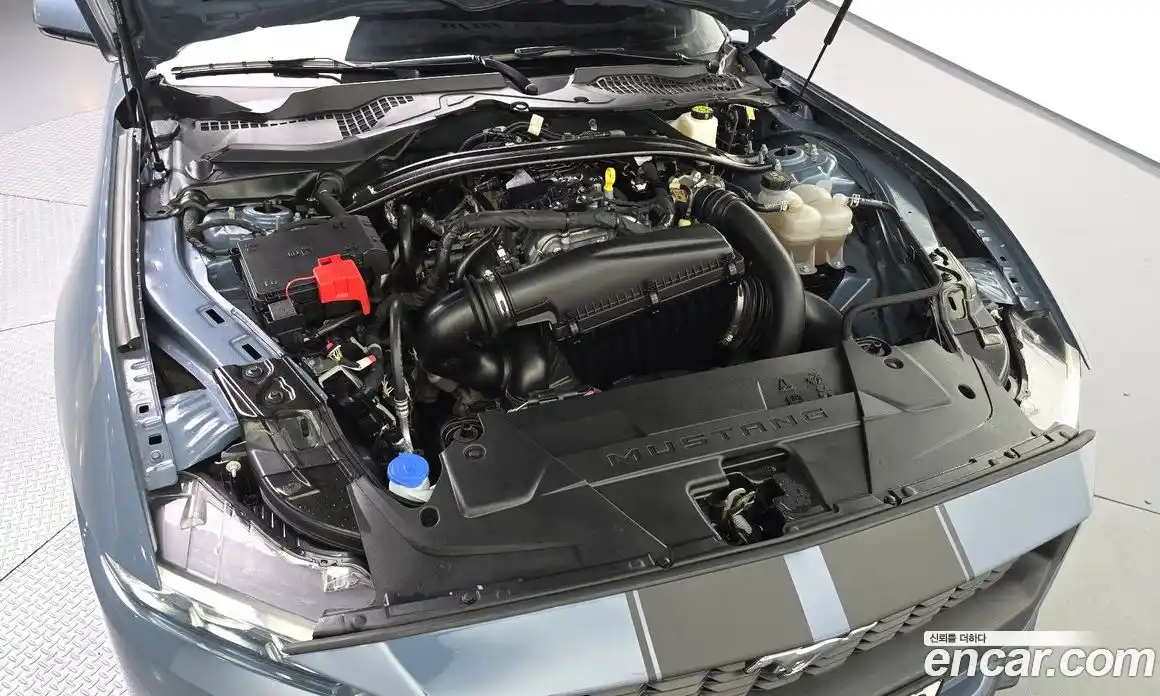 Ford Mustang 2024 2.3 автомат (гидро), фото 5