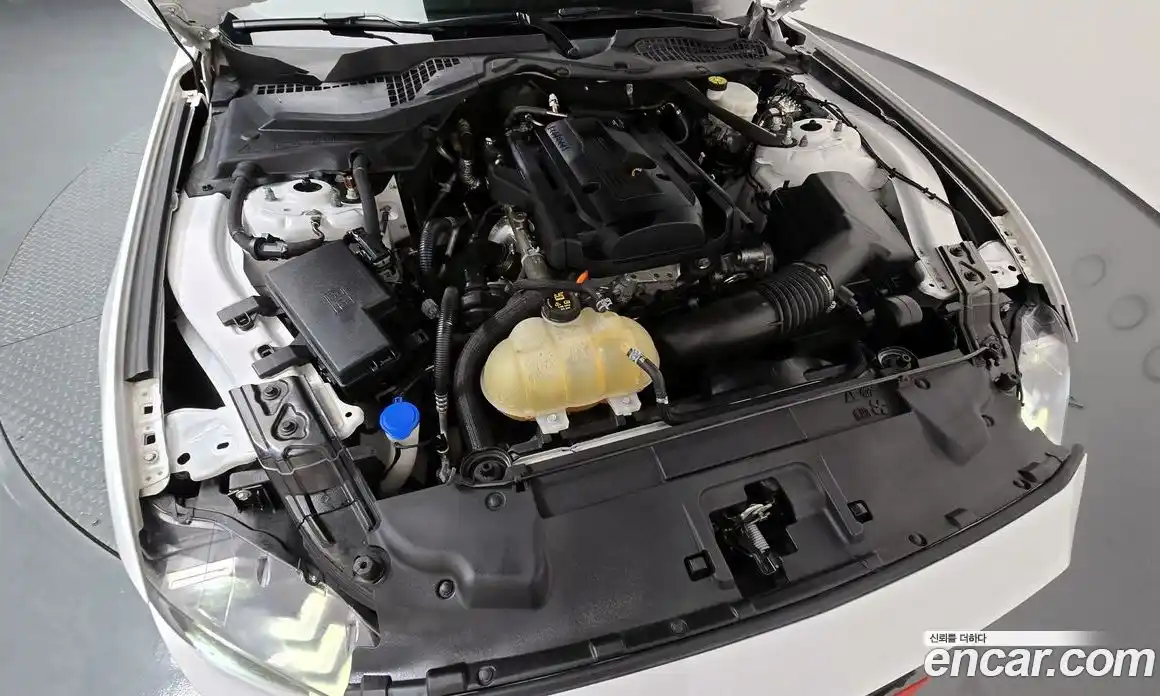 Ford Mustang 2021 2.3 автомат (гидро), фото 6