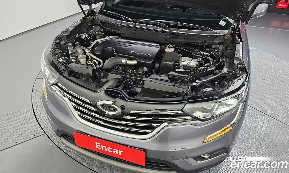 Renault QM6 2018 2.0 гидро, фото 6