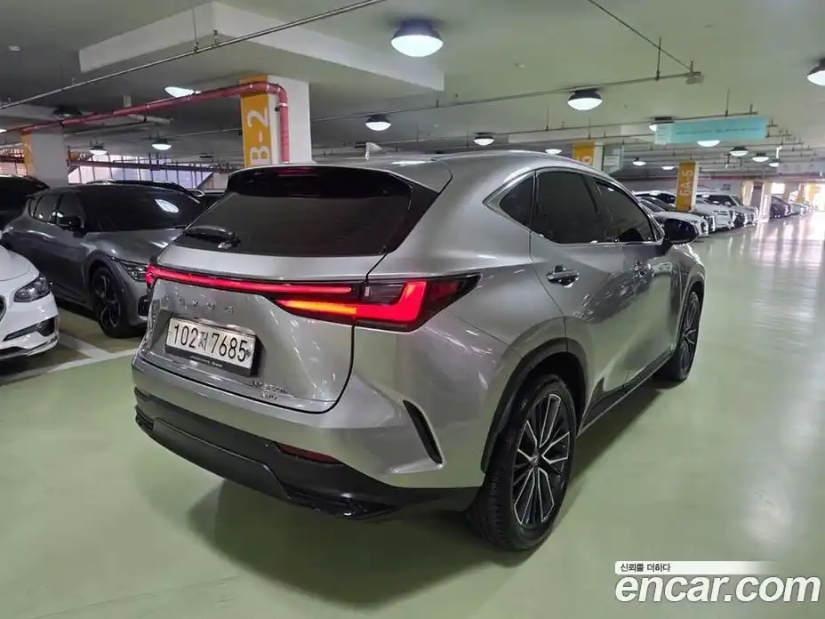 Lexus NX 2022 2.5 гидро, фото 3