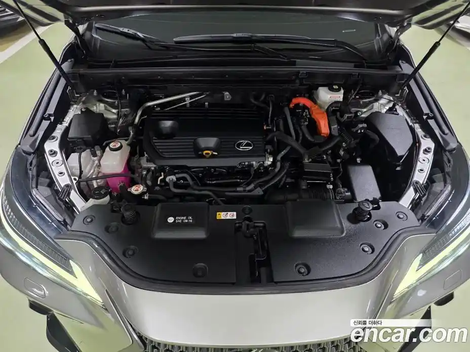 Lexus NX 2022 2.5 гидро, фото 5
