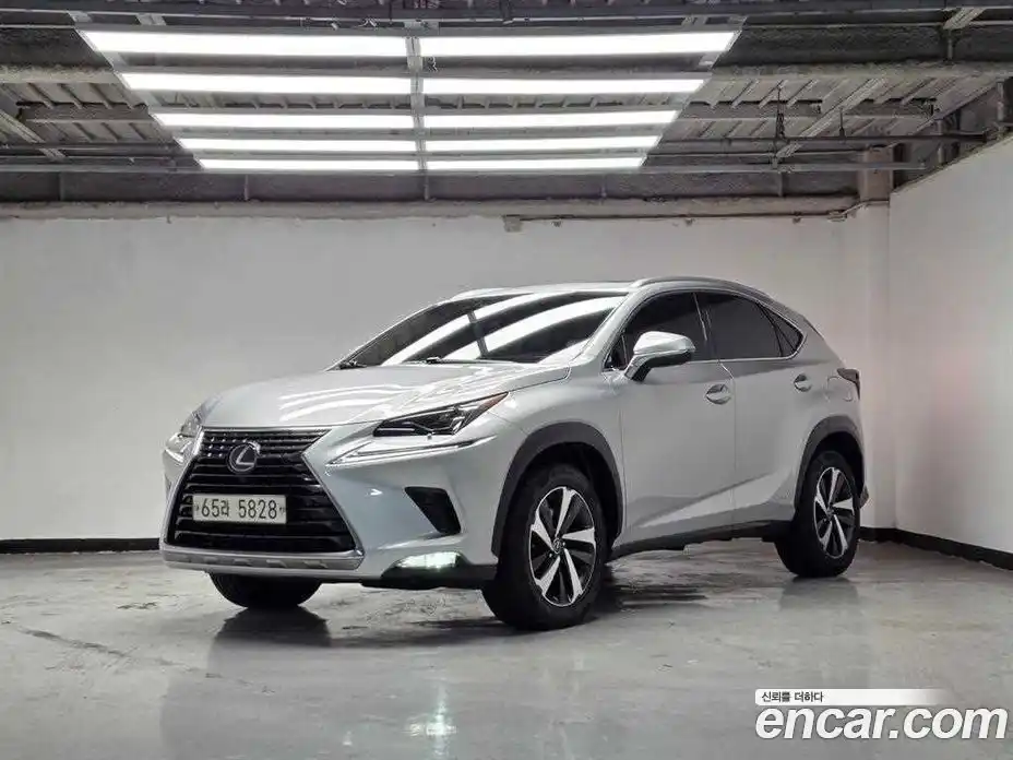 Lexus NX 2018 2.5 гидро, фото 1