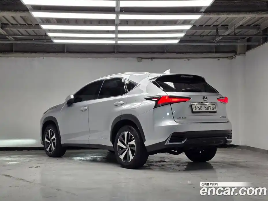 Lexus NX 2018 2.5 гидро, фото 2