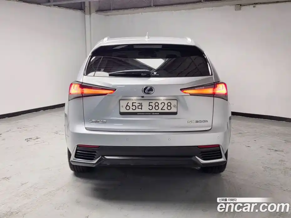 Lexus NX 2018 2.5 гидро, фото 3