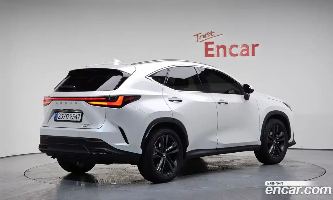Lexus NX 2024 2.5 гидро, фото 1