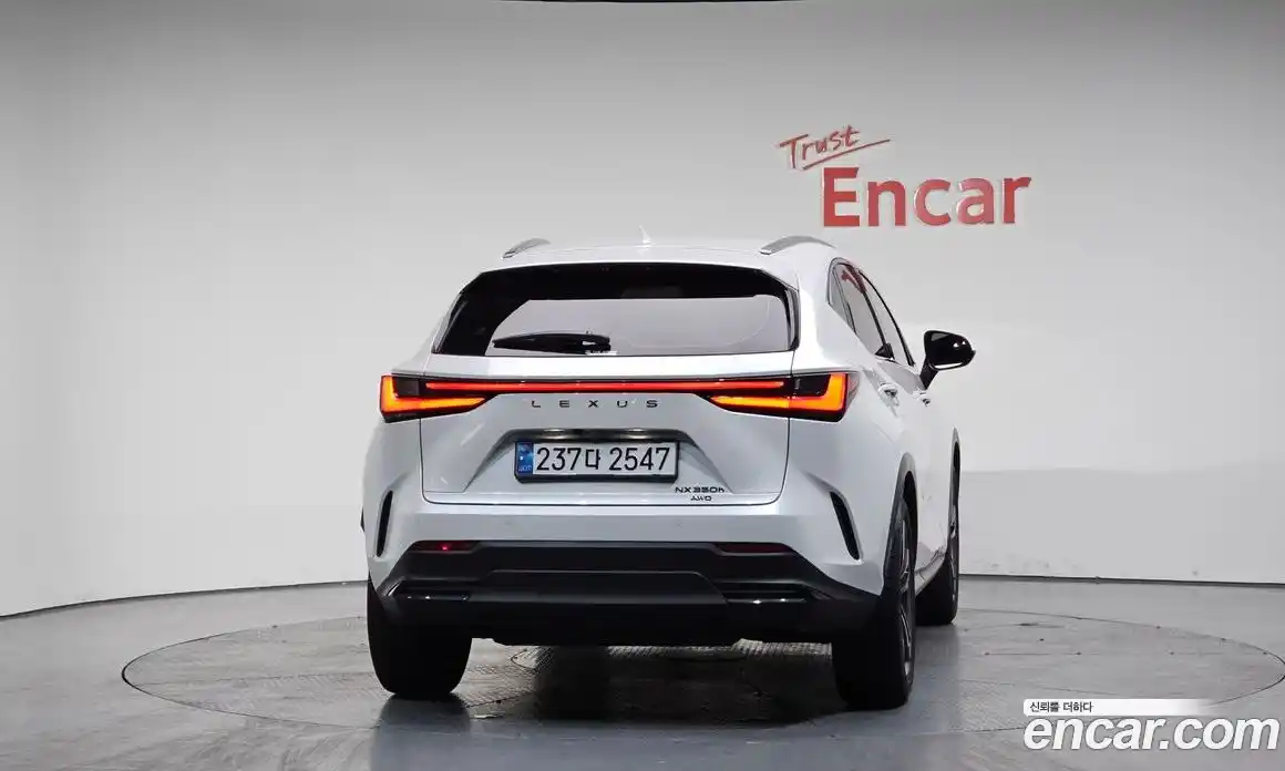 Lexus NX 2024 2.5 гидро, фото 3
