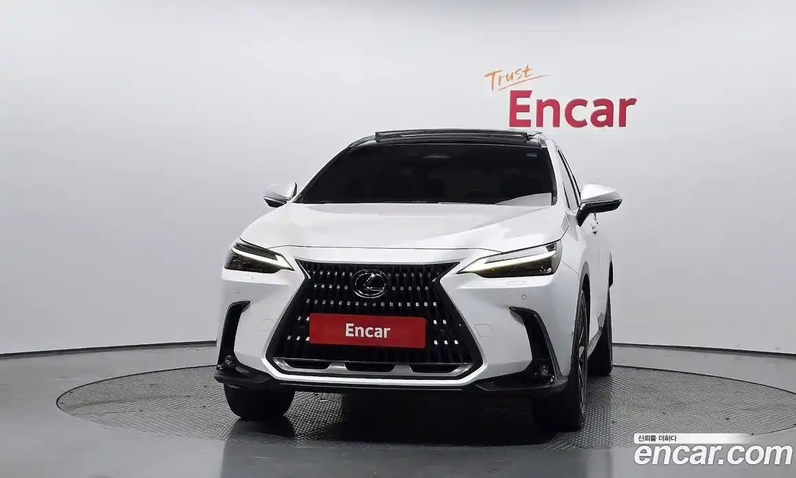 Lexus NX 2023 2.5 гидро, фото 3