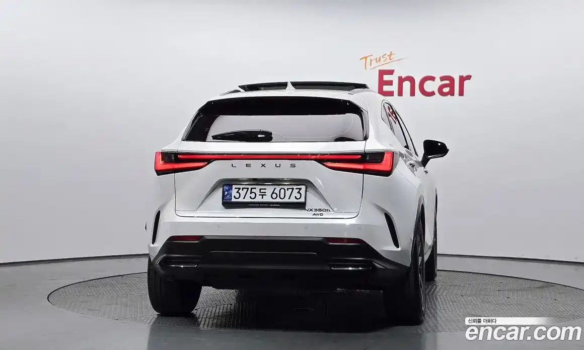 Lexus NX 2023 2.5 гидро, фото 4