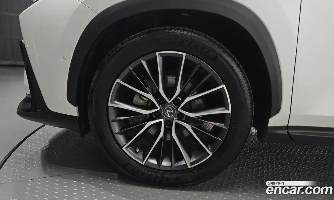 Lexus NX 2023 2.5 гидро, фото 5