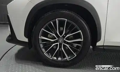 Lexus NX 2023 2.5 гидро, миниатюра 5